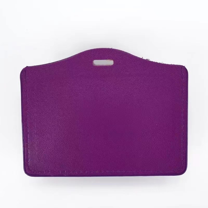 Vat Violet 1 for dyeing leather